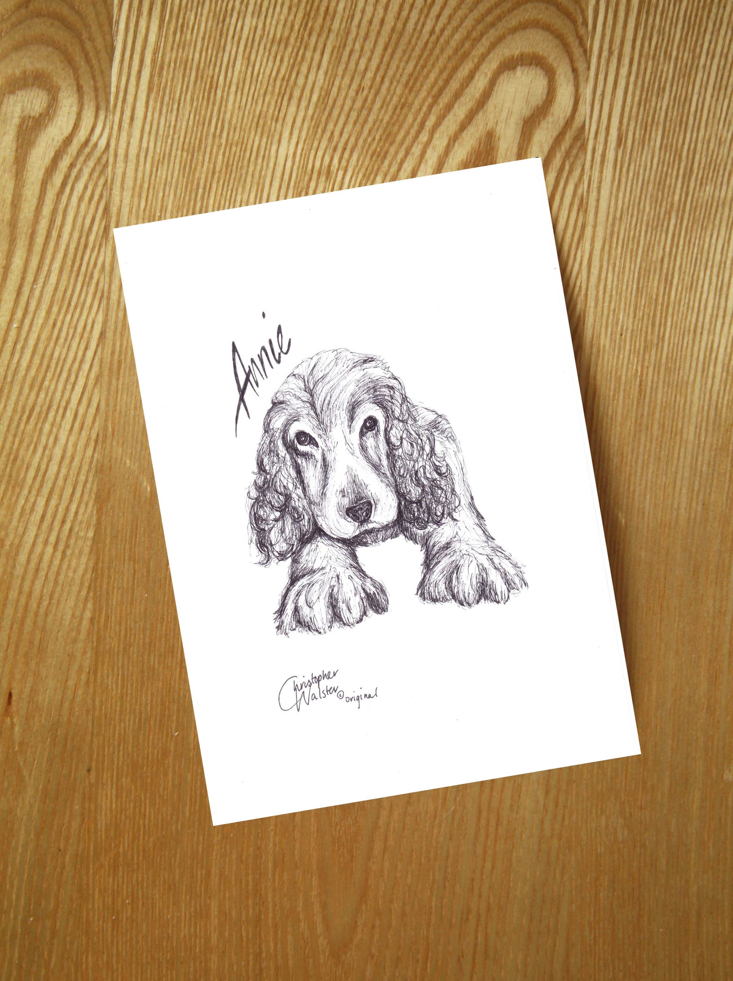 Custom Pet Portrait Illustration