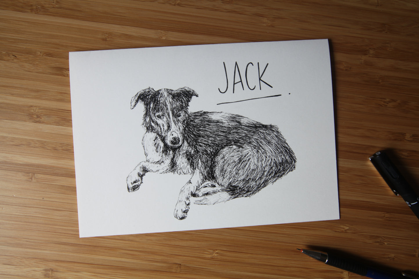 Custom Pet Portrait Illustration