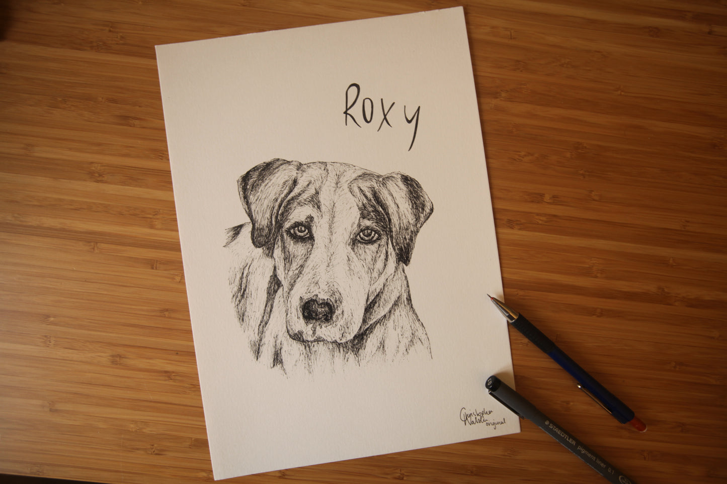 Custom Pet Portrait Illustration