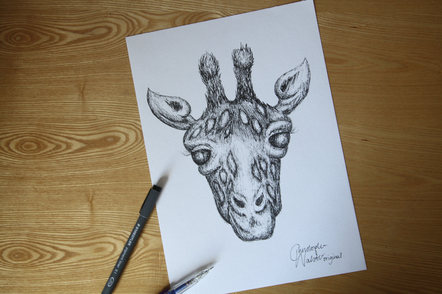 Custom Pet Portrait Illustration